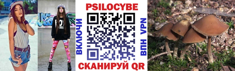 Галлюциногенные грибы MAGIC MUSHROOMS даркнет телеграм Светлогорск